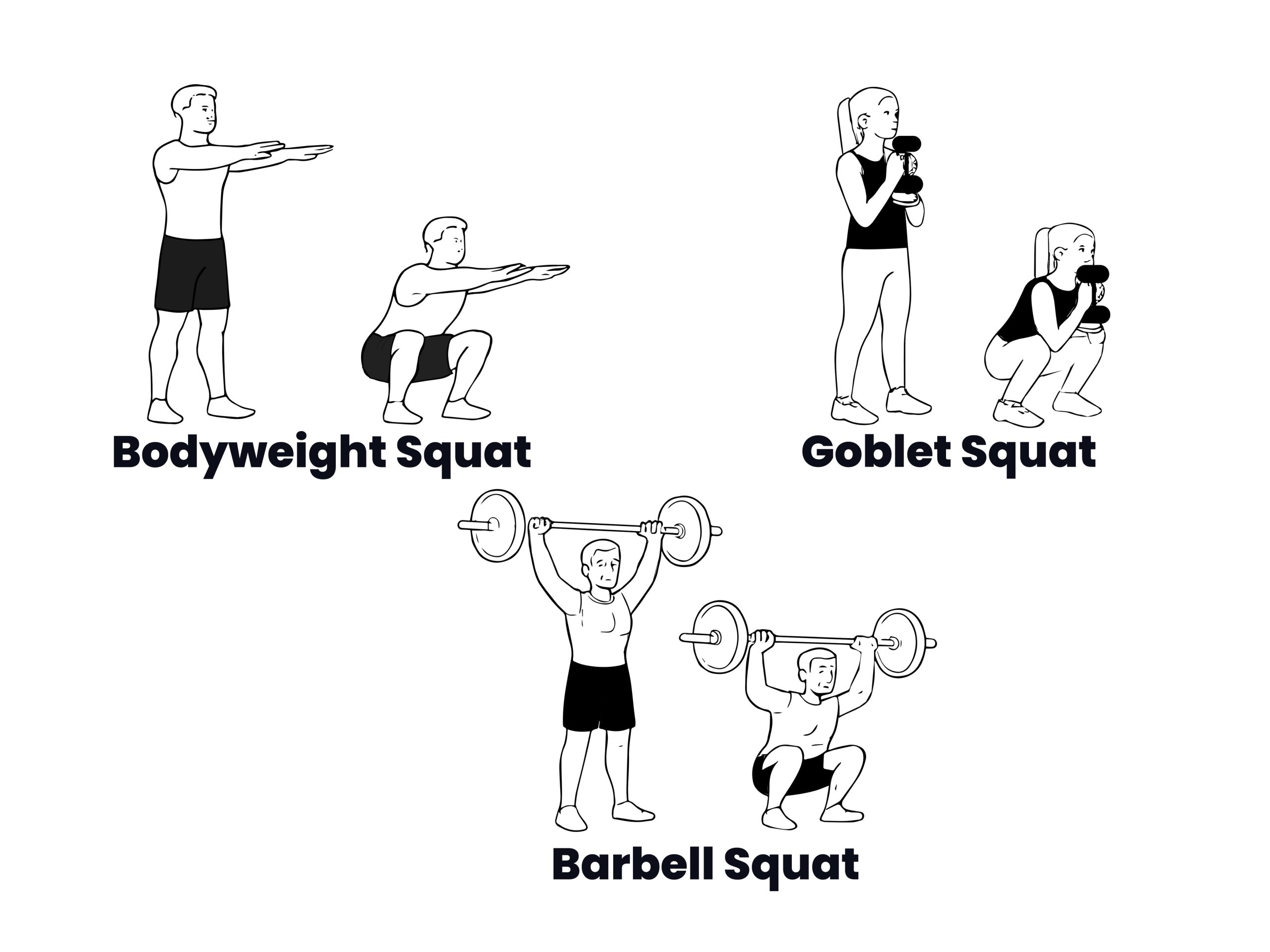 Squat Variations