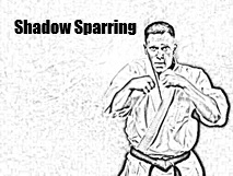 Shadow Sparring