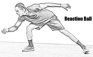 Reaction Ball Catch