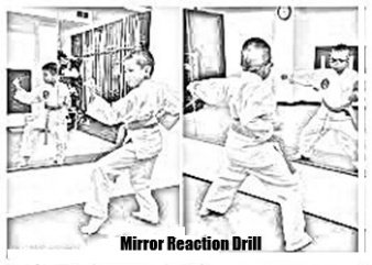 Mirror Reaction Drill